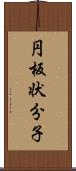 円板状分子 Scroll