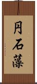 円石藻 Scroll