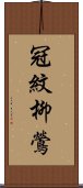 冠紋柳鶯 Scroll