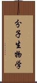 分子生物学 Scroll