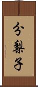 分梨子 Scroll