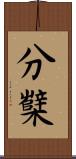 分櫱 Scroll