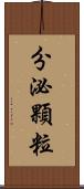 分泌顆粒 Scroll