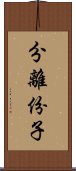 分離份子 Scroll