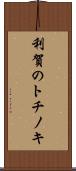 利賀のトチノキ Scroll