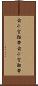 前十字靱帯 Scroll