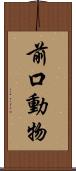 前口動物 Scroll