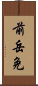 前岳免 Scroll