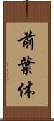 前葉体 Scroll