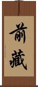 前藏 Scroll