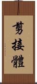 剪接體 Scroll