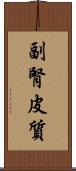 副腎皮質 Scroll