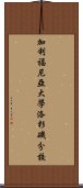 加利福尼亞大學洛杉磯分校 Scroll