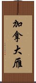 加拿大雁 Scroll