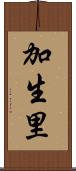 加生里 Scroll