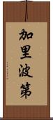 加里波第 Scroll