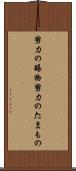 努力の賜物 Scroll