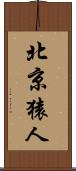 北京猿人 Scroll