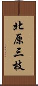 北原三枝 Scroll
