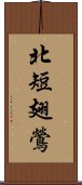 北短翅鶯 Scroll