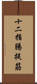 十二指腸提筋 Scroll