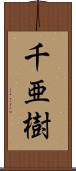 千亜樹 Scroll