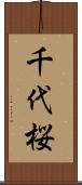 千代桜 Scroll