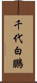千代白鵬 Scroll