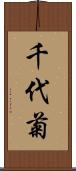 千代菊 Scroll