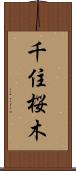 千住桜木 Scroll