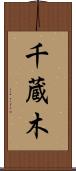 千蔵木 Scroll