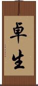 卓生 Scroll