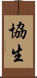 協生 Scroll