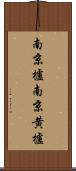 南京櫨 Scroll