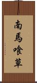 南馬喰草 Scroll
