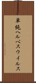 単純ヘルペスウイルス Scroll