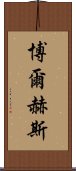 博爾赫斯 Scroll