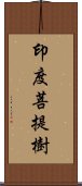 印度菩提樹 Scroll