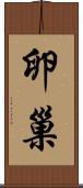 卵巢 Scroll