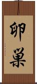 卵巣 Scroll
