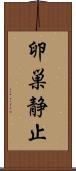 卵巣静止 Scroll