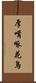 厚嘴啄花鳥 Scroll