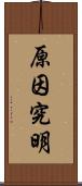 原因究明 Scroll