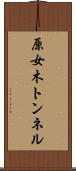 原女木トンネル Scroll