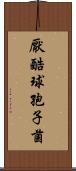 厭酷球孢子菌 Scroll