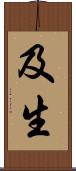 及生 Scroll