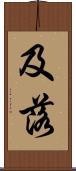 及落 Scroll