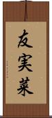 友実菜 Scroll