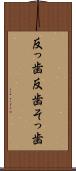 反っ歯 Scroll