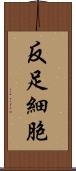反足細胞 Scroll